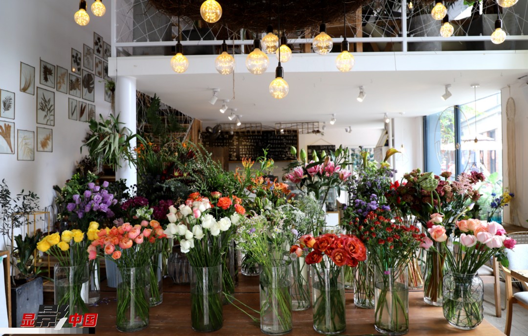 從決定從事鮮花這個(gè)行業(yè)以來(lái)，王黎媛花了很多的時(shí)間和精力去學(xué)習(xí)花藝，不斷提高自己的專業(yè)水平。而在小店的選址、裝修和布置方面，王黎媛同樣花費(fèi)了不少心思，“希望我的小店和鮮花一樣，是有溫度的、鮮活的?！绷硗猓⌒〉幕ǖ暌膊刂蟠蟮膲?mèng)想，“我們?cè)颇硝r花很多，但真正做成品牌的卻很少，這是非常可惜的。我希望把我的店做成品牌，不光能扎根昆明，還能落地到云南的其他城市，甚至省外的城市?！眻D為王黎媛的花店一角。新華網(wǎng) 周亞平/攝 念新洪/文